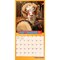 Avanti Funny Farm OFFICIAL | 2027 12 x 24 Inch (Hanging) Monthly Square Wall Calendar | Foil Stamped Cover | Plastic-Free